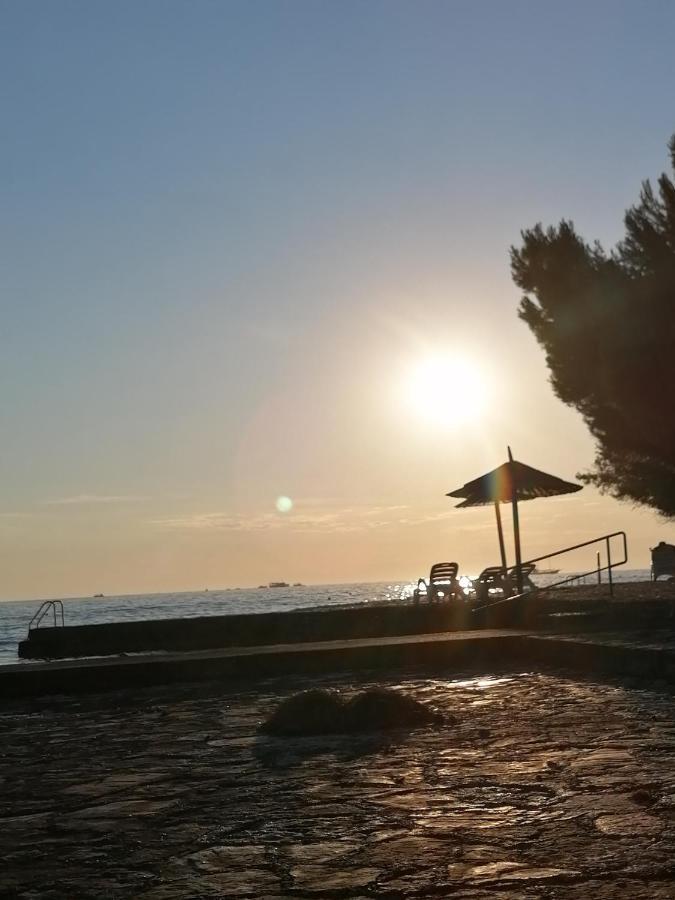 Villanova Apartments Poreč Eksteriør bilde